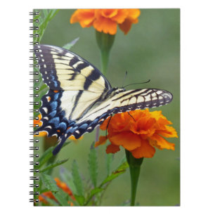 Yellow female Eastern Tiger Swallowtail Notebook