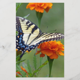 Yellow female Eastern Tiger Swallowtail Stationery