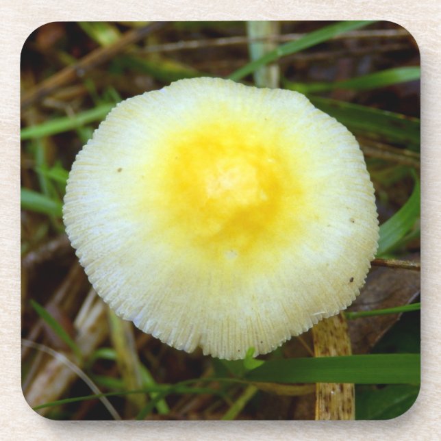 Yellow Field Cap Mushroom Hard Plastic Coasters (Front)