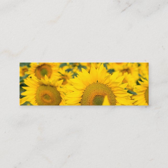Yellow Field of Sunflowers Photograph Mini Business Card (Front)