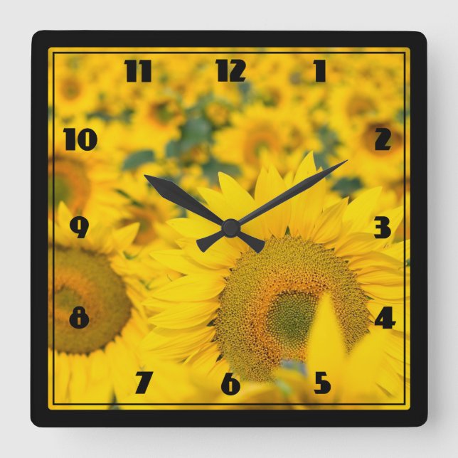 Yellow Field of Sunflowers Photograph Square Wall Clock (Front)