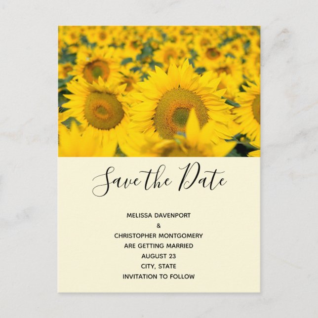 Yellow Field of Sunflowers Wedding Invitation Postcard (Front)