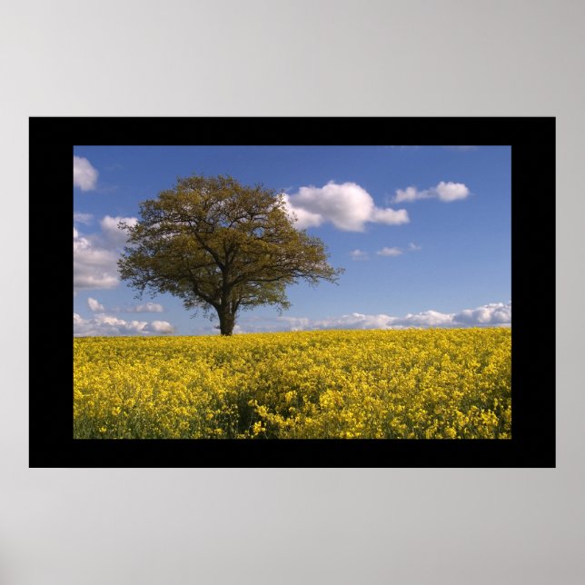 Yellow Fields Poster (Front)
