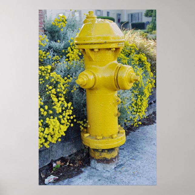 Yellow fire hydrant and wild flowers poster (Front)