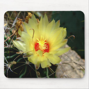 Yellow fishhook cactus flower mouse pad