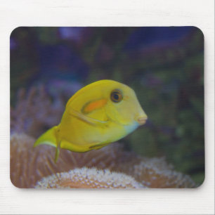 Yellow Fishy Mouse Pad
