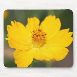 Yellow Floral Mousepad
