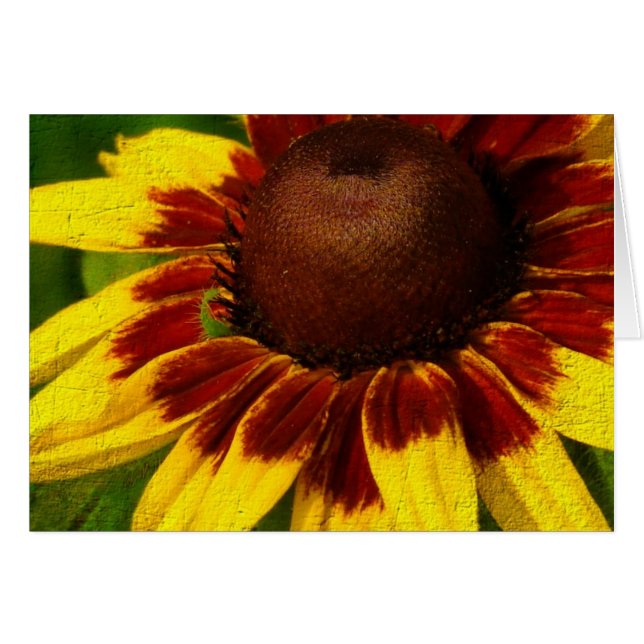 Yellow Flower (Front Horizontal)