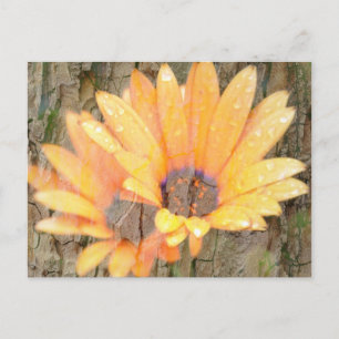 Yellow Flower Bark Postcard