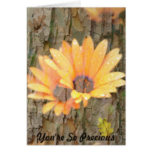 Yellow Flower Bark Precious