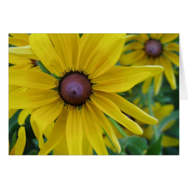 Yellow Flower Card (Front Horizontal)