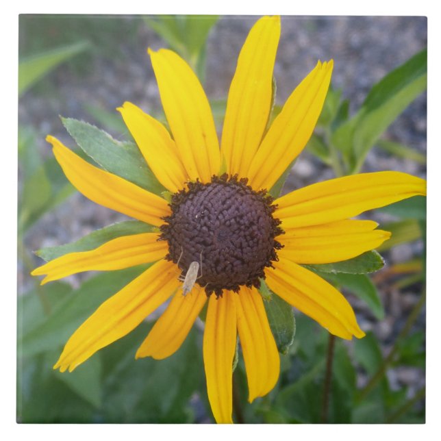 Yellow flower ceramic tile (Front)