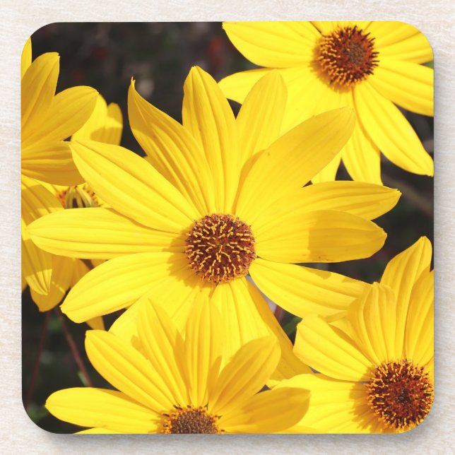 Yellow Flower Coaster (Front)