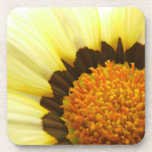 Yellow Flower Coasters