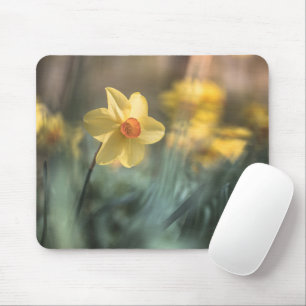 Yellow Flower Daffodil Nature Photo Mouse Pad