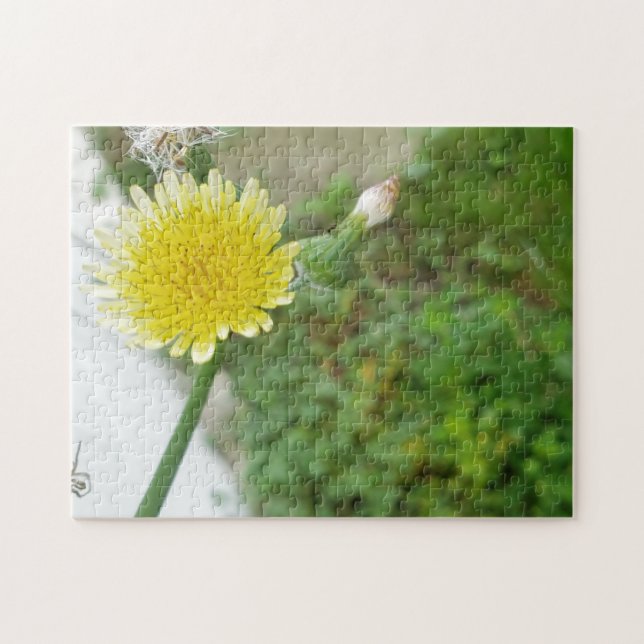 Yellow flower daisy weed jigsaw puzzle (Horizontal)
