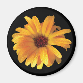 Yellow Flower & Dew Magnet
