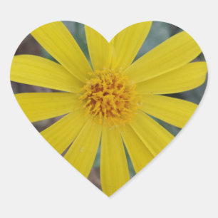Yellow Flower Heart Sticker