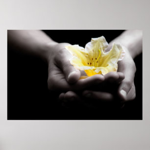 Yellow Flower In Hands Poster
