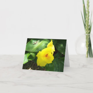 Yellow Flower in Shade Card