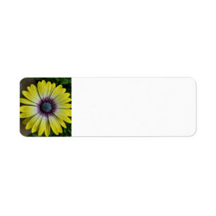 Yellow flower label return address label