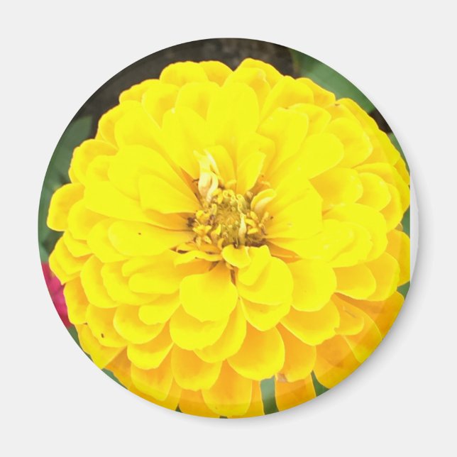 Yellow Flower Magnet (Front)