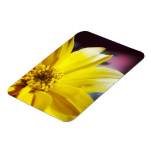 Yellow Flower Magnet