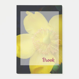 Yellow flower Name  Post-It Notes