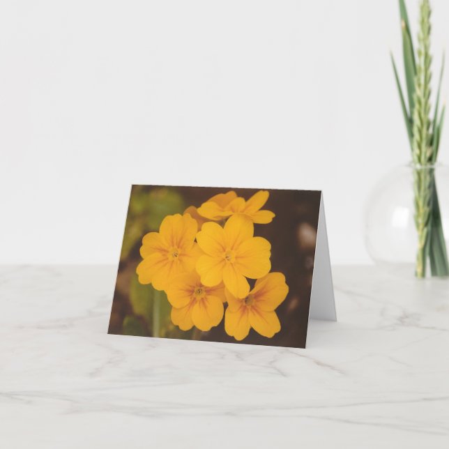 Yellow Flower Notecard (Front)