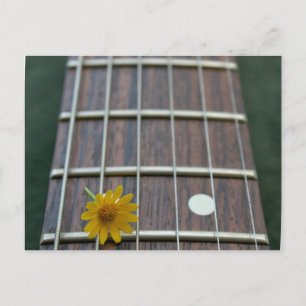 Yellow flower on receeding guitar neck postcard
