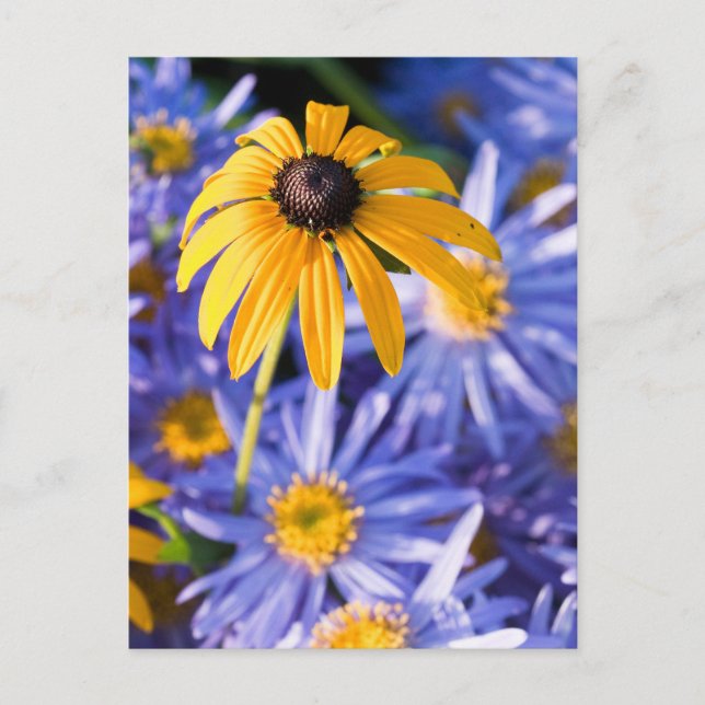 Yellow Flower Postcard (Front)