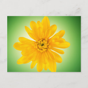 Yellow flower postcard