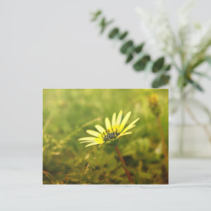 Yellow flower postcard