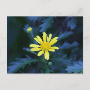 yellow flower postcard