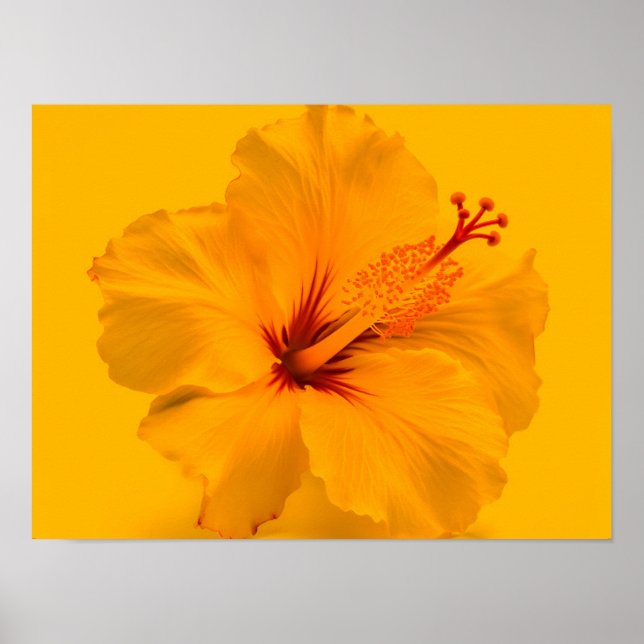 Yellow Flower Poster (Front)