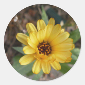 Yellow Flower Small Sticker