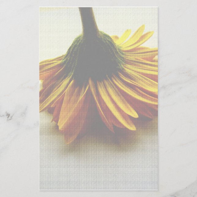 Yellow Flower Stationery (Front)