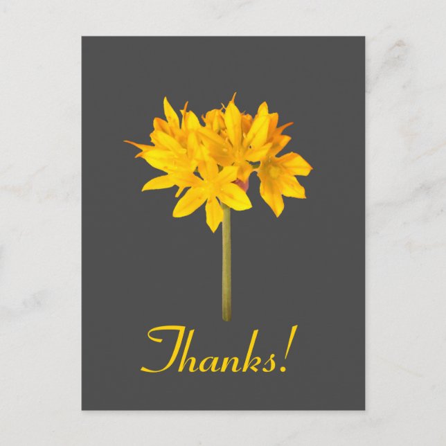 Yellow Flower Thanks Postcard (Front)