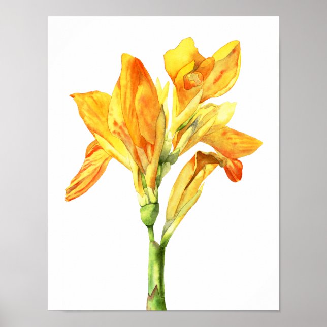 Yellow Flower Watercolor Painting, Fine Art Poster (Front)
