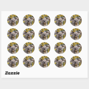 Yellow Flowering Wattle Tree With A Koala, Classic Round Sticker