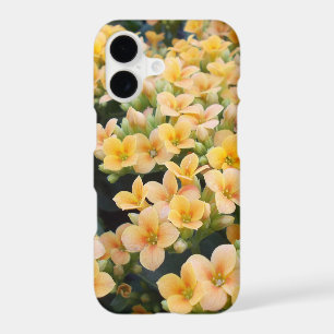 Yellow Flowers