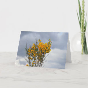 yellow flowers card