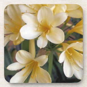 YELLOW FLOWERS COASTER
