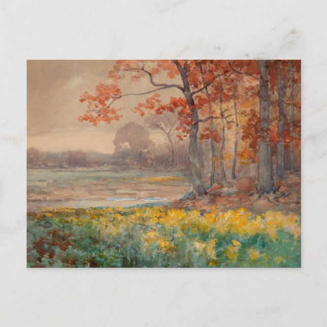 Yellow Flowers Grey Day, 1911 Postcard (Front)