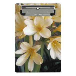 YELLOW FLOWERS MINI CLIPBOARD