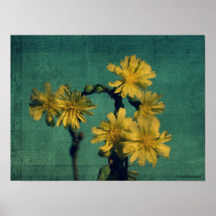 Yellow Flowers Poster