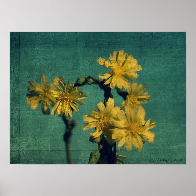 Yellow Flowers Poster (Front)