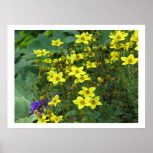 yellow flowers poster