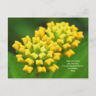 Yellow Flowers with Rumi Quote Postcard