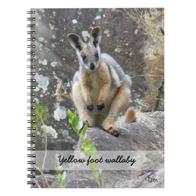 yellow foot wallaby notebook (Front)